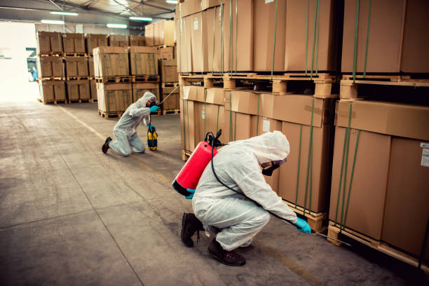 Best Pest Prevention Services  in Loughman, FL