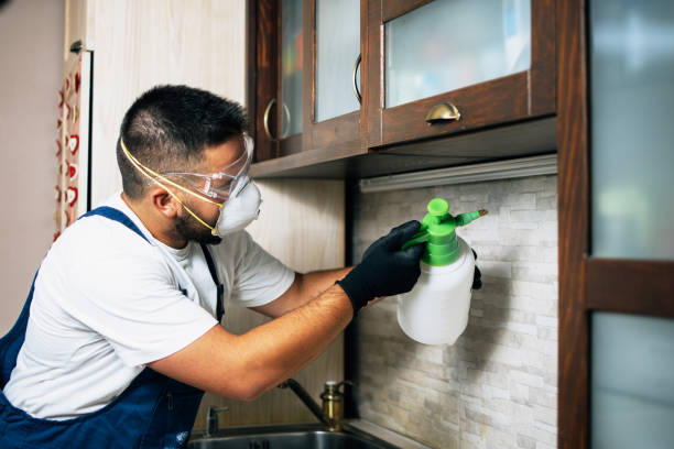 Best Pest Inspection Near Me  in Loughman, FL