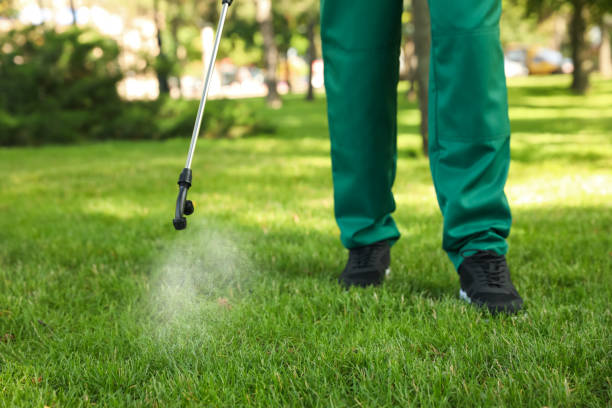Best Pest Removal Services  in Loughman, FL