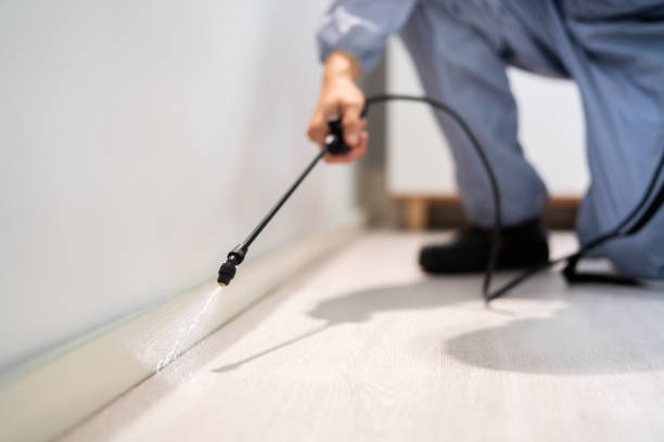 Best Emergency Pest Control  in Loughman, FL