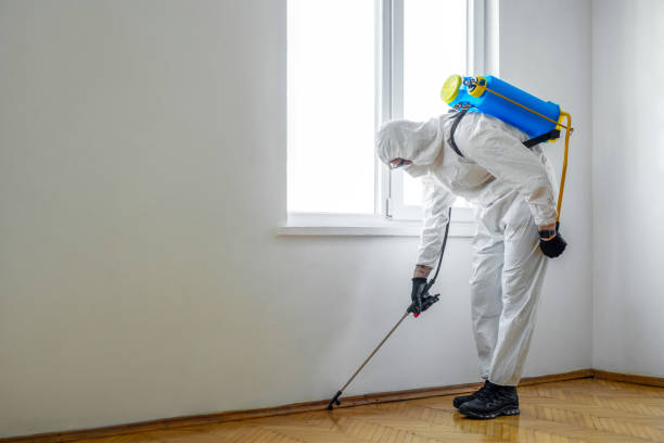Best Affordable Pest Control Services  in Loughman, FL