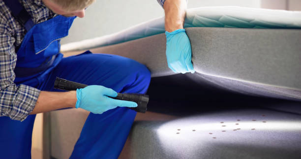 Best Mosquito Control Services  in Loughman, FL