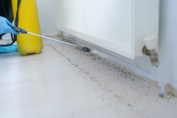 Pest Control for Restaurants in Loughman, FL